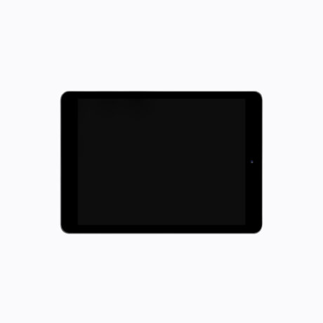 iPad Pro
